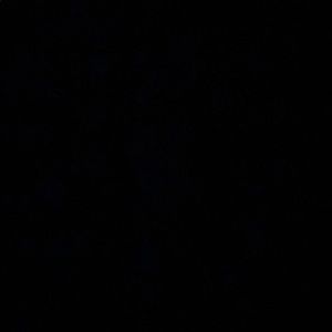 Meet your Posher, Sophia